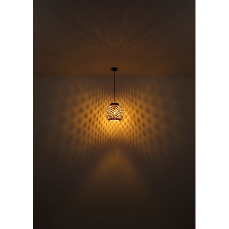 Globo 15766H1 - Luster na sajli COLLY 1xE27/15W/230V pr. 30 cm