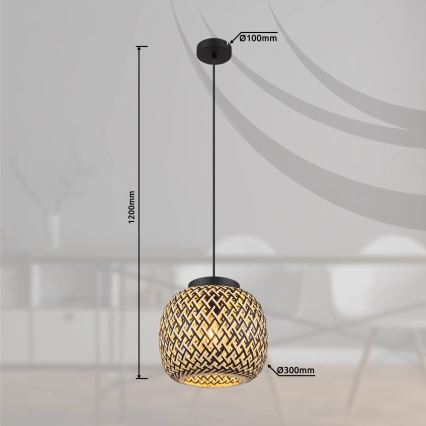 Globo 15766H1 - Luster na sajli COLLY 1xE27/15W/230V pr. 30 cm