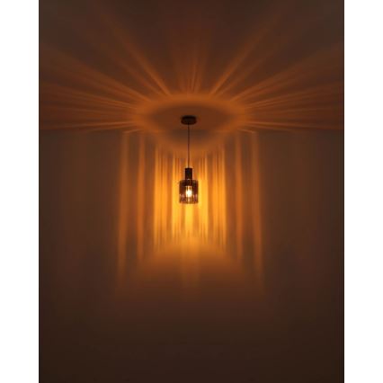 Globo - Luster na sajli 1xE27/40W/230V pr. 18 cm braon