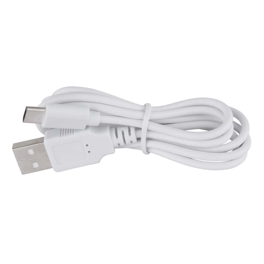 Globo - LED Prigušiva stona lampa na dodir LED/2W/5V 1200 mAh USB prozirna