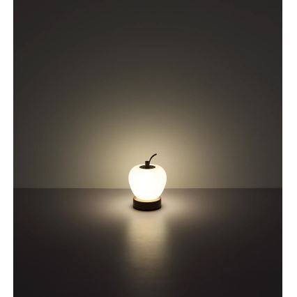 Globo - LED Prigušiva stona lampa na dodir LED/2W/3,7V 2700K/4000K/6500K 1200 mAh USB braon