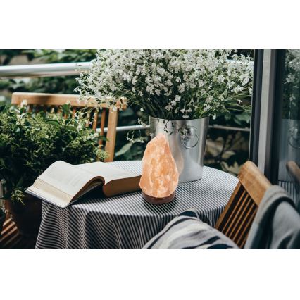Globo - Lampa od himalajske soli 1xE14/15W/230V 2,64 kg
