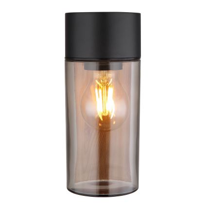 Globo - Spoljašnja zidna lampa 1xE27/40W/230V IP44