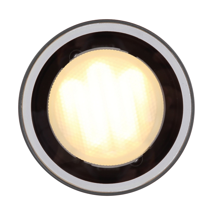 Globo - Spoljašnja plafonjera 1xGX53/11W/230V IP44