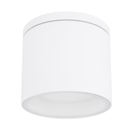 Globo - Spoljašnja plafonjera 1xGX53/11W/230V IP44