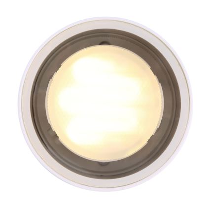 Globo - Spoljašnja plafonjera 1xGX53/11W/230V IP44
