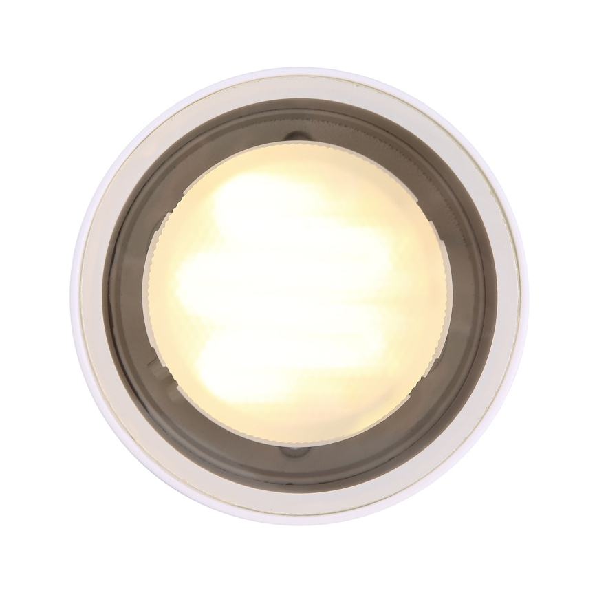 Globo - Spoljašnja plafonjera 1xGX53/11W/230V IP44
