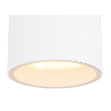 Globo - Spoljašnja plafonjera 1xGX53/11W/230V IP44