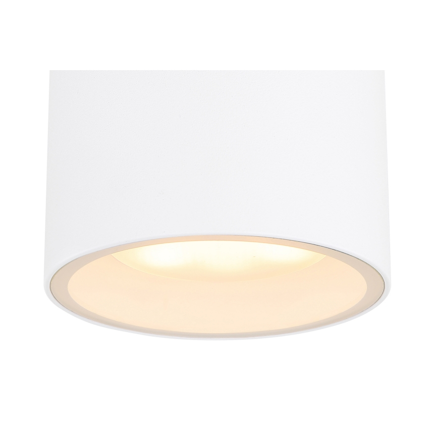 Globo - Spoljašnja plafonjera 1xGX53/11W/230V IP44
