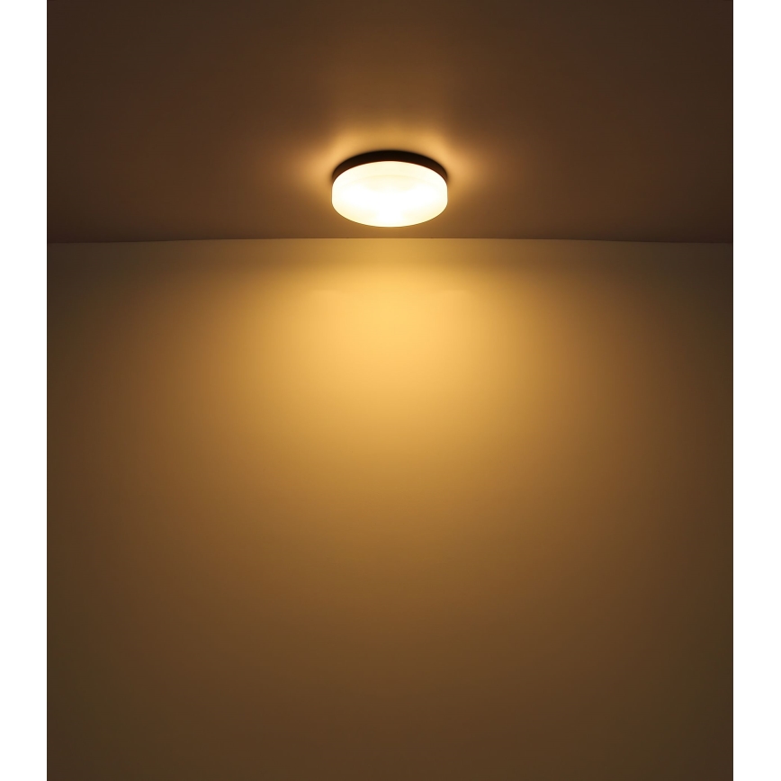 Globo - Osvetljenje za kupatilo 1xE27/60W/230V pr. 18,4 cm IP44