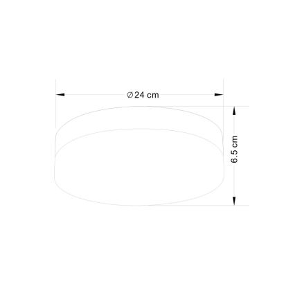 Globo - Kupatilska svetiljka 2xE27/40W/230V prečnik 24 cm IP44
