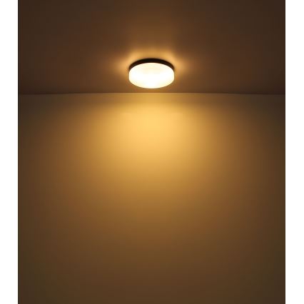 Globo - Osvetljenje za kupatilo 2xE27/60W/230V pr. 24 cm IP44