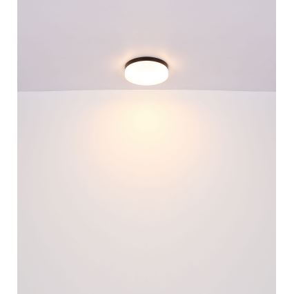 Globo - Osvetljenje za kupatilo 2xE27/60W/230V pr. 24 cm IP44