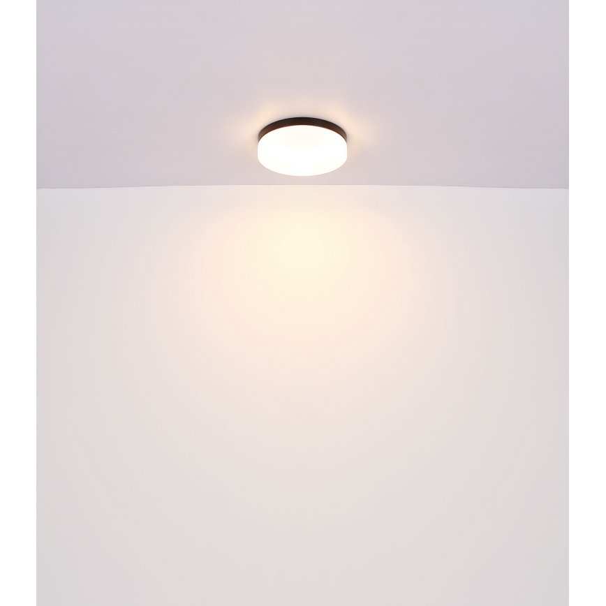 Globo - Osvetljenje za kupatilo 2xE27/60W/230V pr. 24 cm IP44