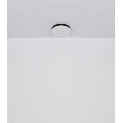 Globo - Osvetljenje za kupatilo 2xE27/60W/230V pr. 24 cm IP44