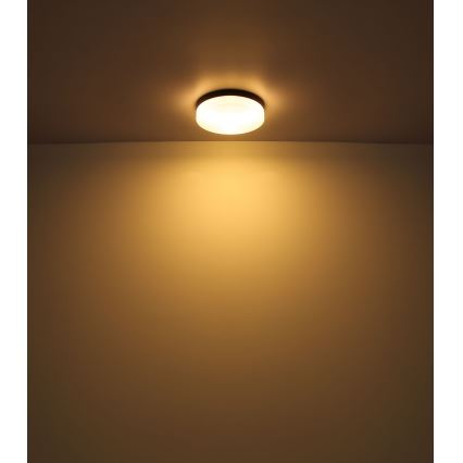 Globo - Osvetljenje za kupatilo 3xE27/60W/230V pr. 30 cm IP44