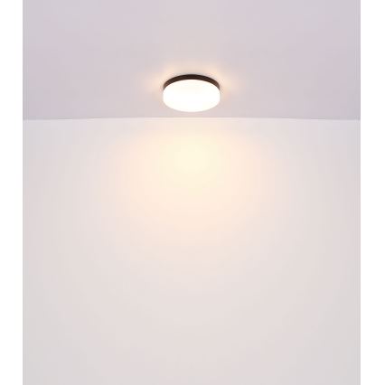 Globo - Osvetljenje za kupatilo 3xE27/60W/230V pr. 30 cm IP44