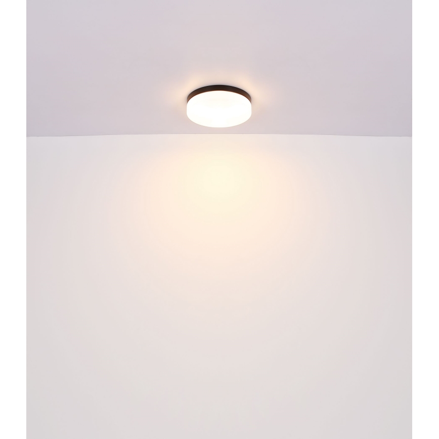 Globo - Osvetljenje za kupatilo 3xE27/60W/230V pr. 30 cm IP44