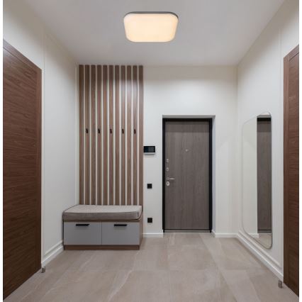 Globo - LED Spoljašnja plafonjera LED/24W/230V IP54