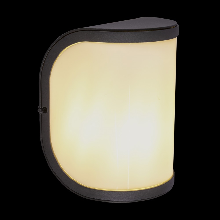 Globo 32128A - Spoljašnja zidna lampa SEGGA 1xE27/60W/230V IP44