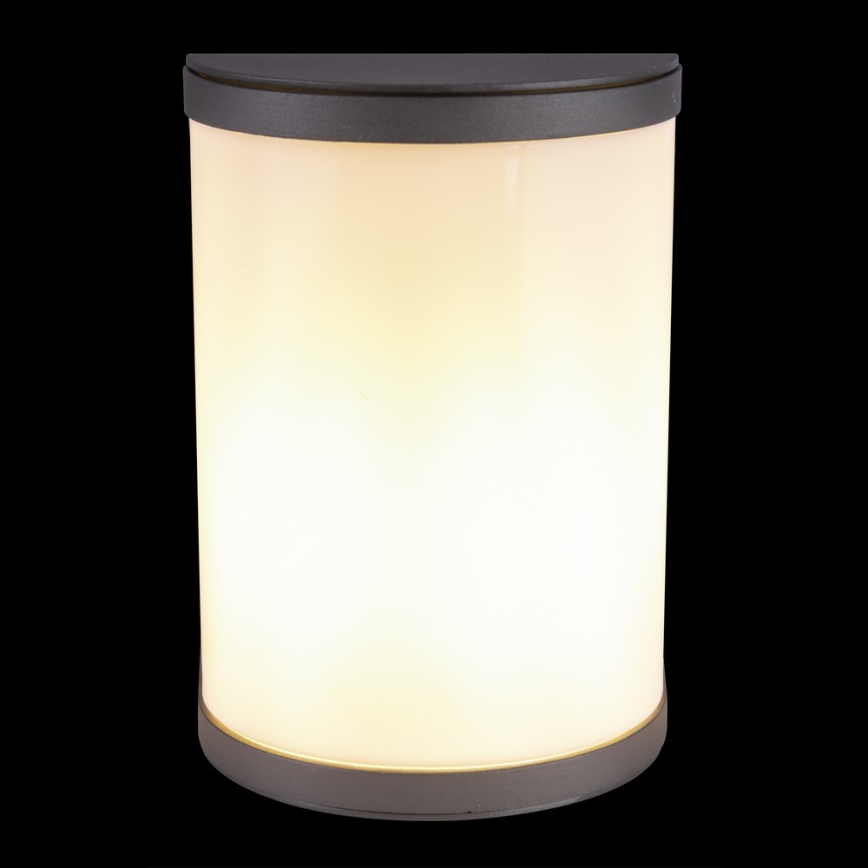 Globo 32128A - Spoljašnja zidna lampa SEGGA 1xE27/60W/230V IP44