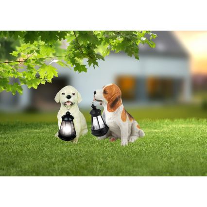 Globo - LED solarna svetiljka LED/0,06W/3V pas IP44 600 mAh