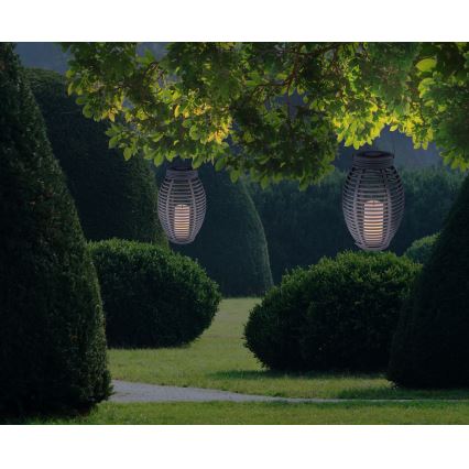 Globo - LED Solarno svetlo LED/0,06W/3,2V IP44 ratan