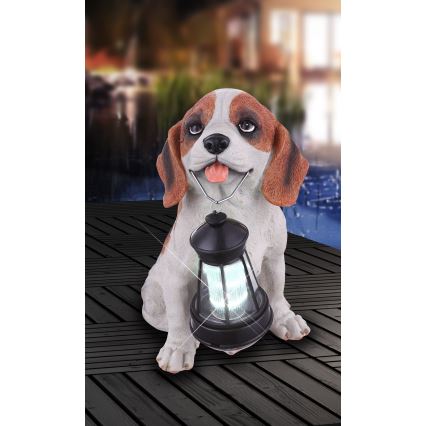 Globo - LED solarno svetlo LED/0,06W/3V IP44 600 mAh