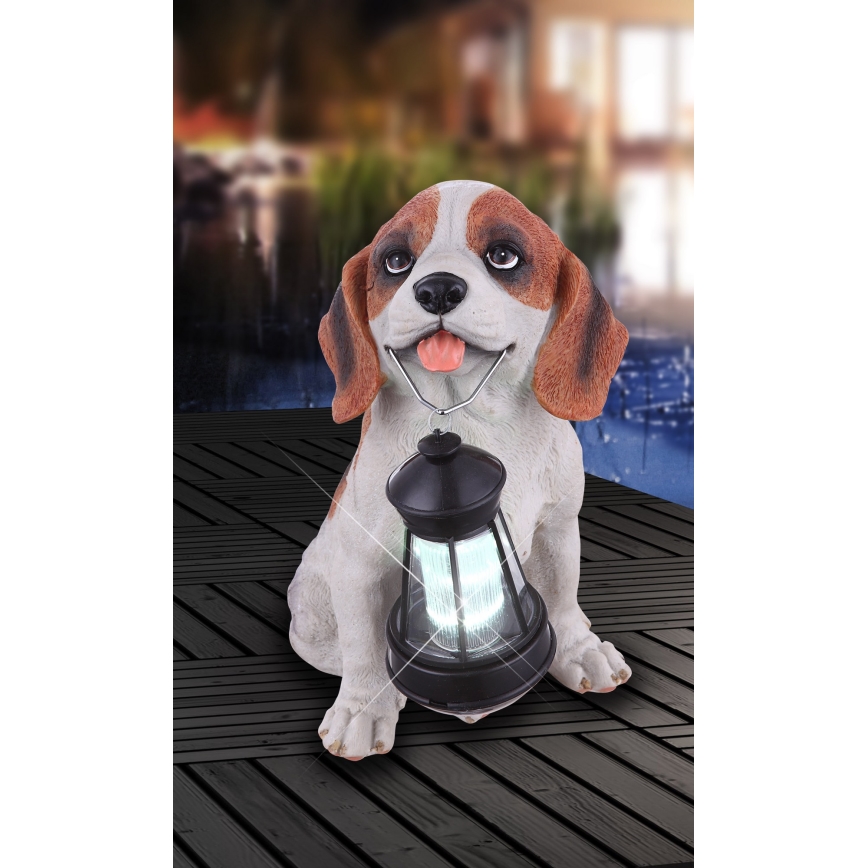 Globo - LED solarno svetlo LED/0,06W/3V IP44 600 mAh