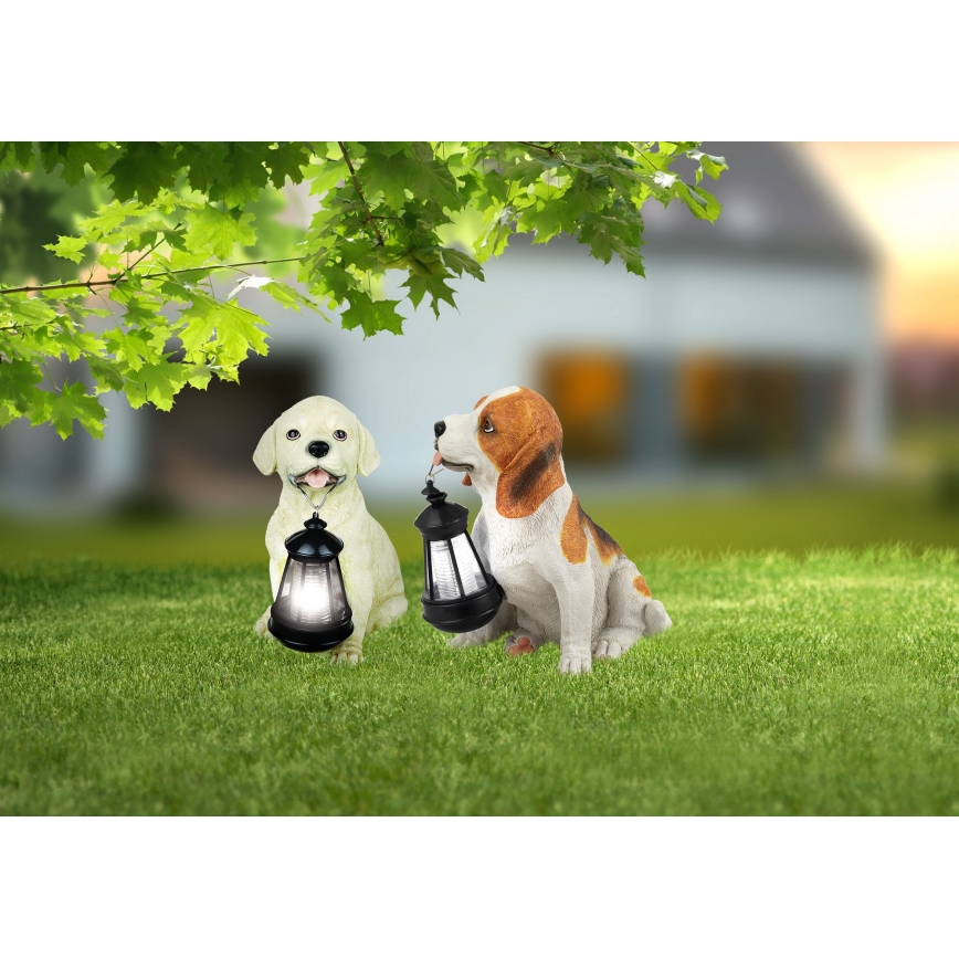 Globo - LED solarno svetlo LED/0,06W/3V IP44 600 mAh