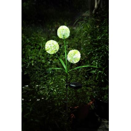 Globo  - LED Solarno svetlo 3xLED/0,06W/3V 5000K IP44 200 mAh žuta