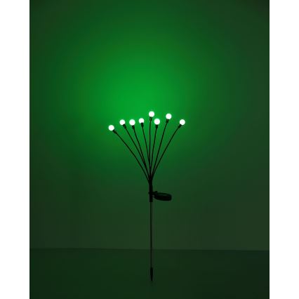 Globo - LED RGB solarna rasveta 8xLED/0,06W/3,2V IP44