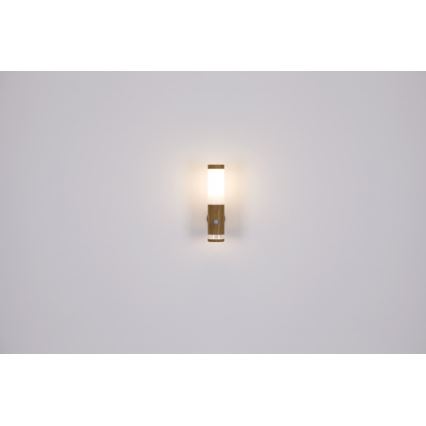 Globo - Spoljašnja lampa 1xE27/15W/230V IP44