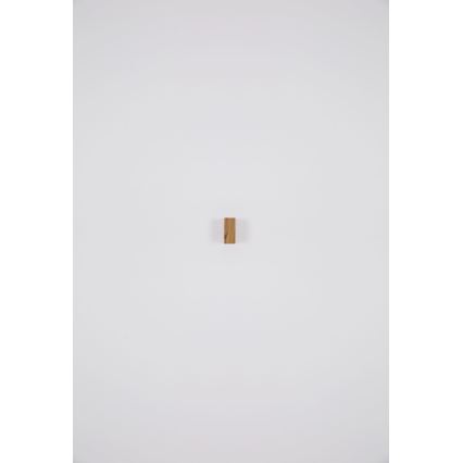 Globo - Spoljašnja zidna lampa 1xGU10/35W/230V IP44