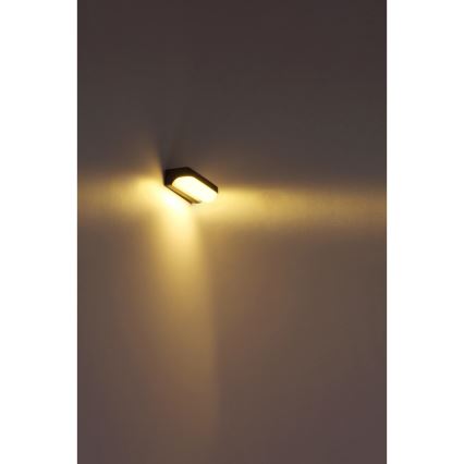 Globo - LED Spoljna zidna lampa LED/10W/230V IP54