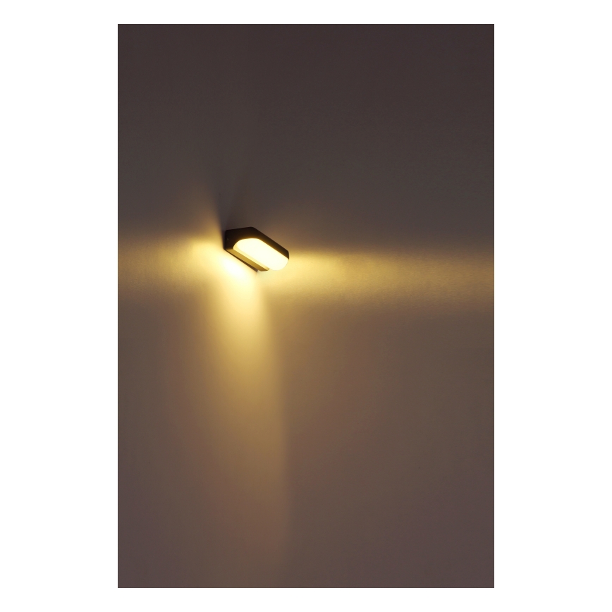 Globo - LED Spoljna zidna lampa LED/10W/230V IP54