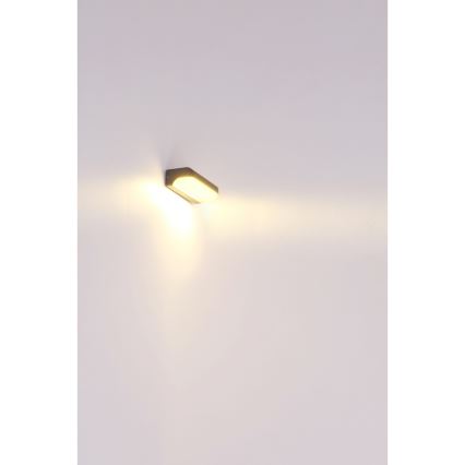 Globo - LED Spoljna zidna lampa LED/10W/230V IP54