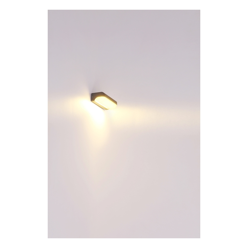 Globo - LED Spoljna zidna lampa LED/10W/230V IP54