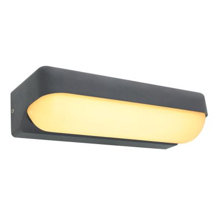 Globo - LED Spoljna zidna lampa LED/10W/230V IP54