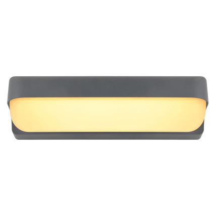 Globo - LED Spoljna zidna lampa LED/10W/230V IP54