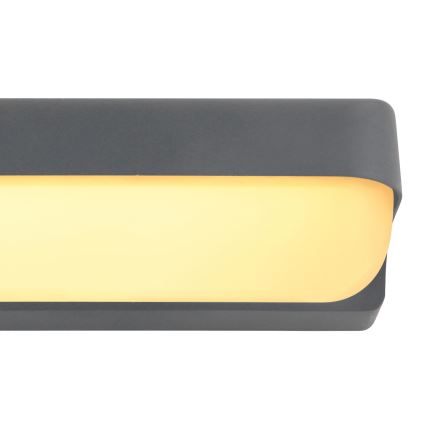 Globo - LED Spoljna zidna lampa LED/10W/230V IP54
