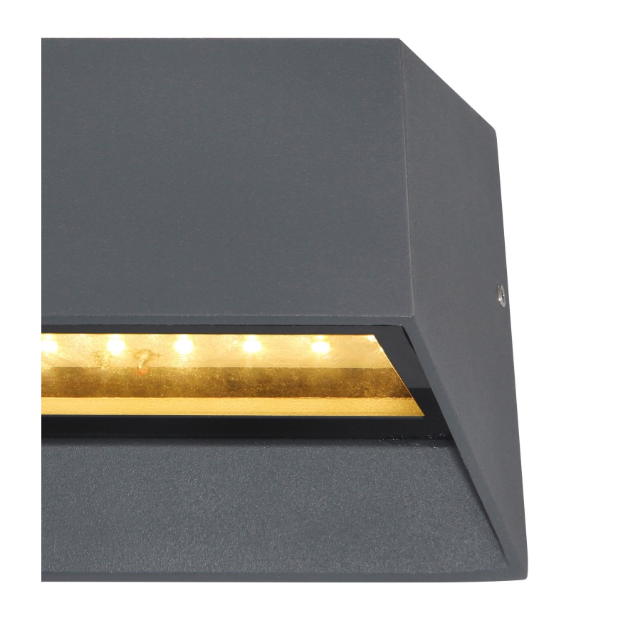 Globo - LED Spoljna zidna lampa LED/7W/230V IP54 antracit