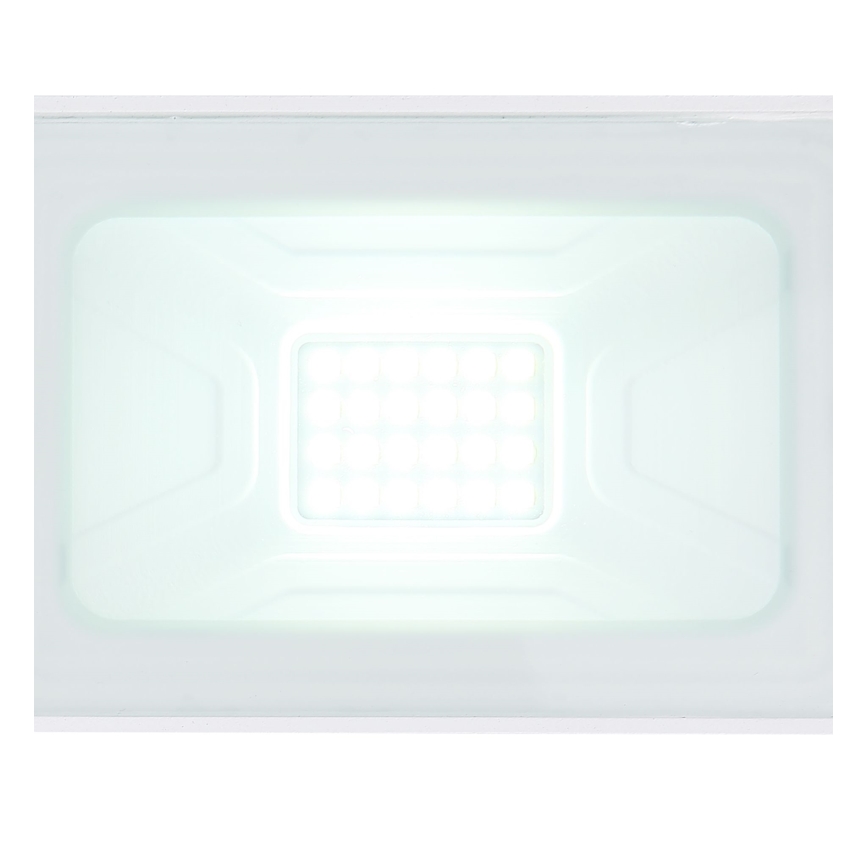 Globo - LED Reflektor LED/20W/230V IP65