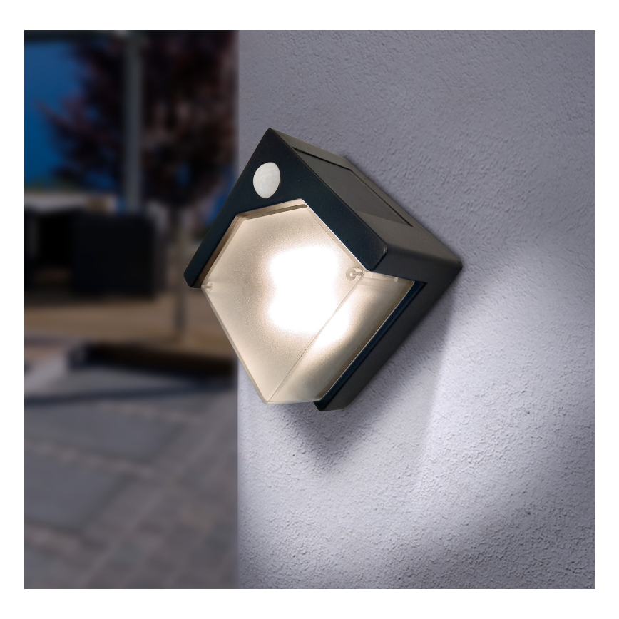 Globo - LED Solarna lampa sa senzorom LED/0,48W/3V IP44 600 mAh