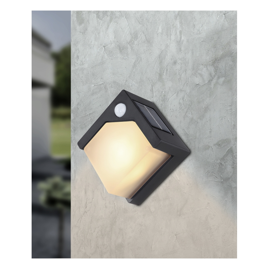 Globo - LED solarno svetlo sa senzorom LED/0,48W/3V IP44 600 mAh