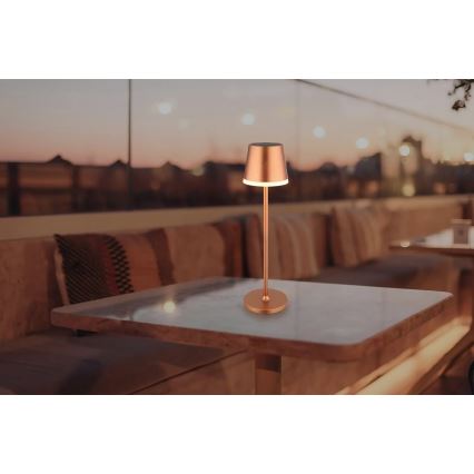 Globo - LED Solarno svetlo LED/0,6W/3V 3000K IP44 bakrena
