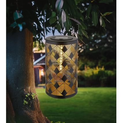 Globo - LED Solarni fenjer LED/0,5W/3V IP44