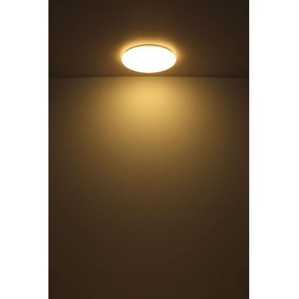 Globo - LED Plafonjera LED/24W/230V pr. 49,5 cm bela