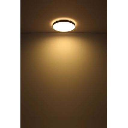 Globo - LED Plafonjera LED/24W/230V pr. 48 cm antracit