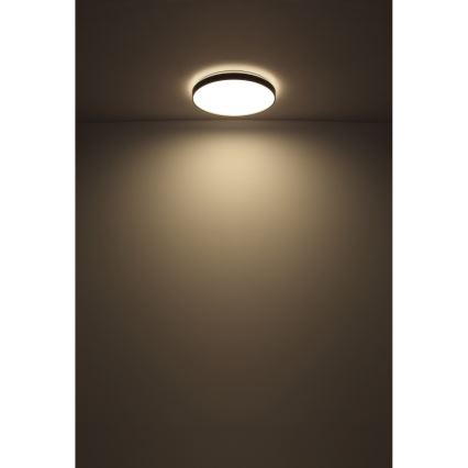 Globo - LED Plafonjera LED/24W/230V